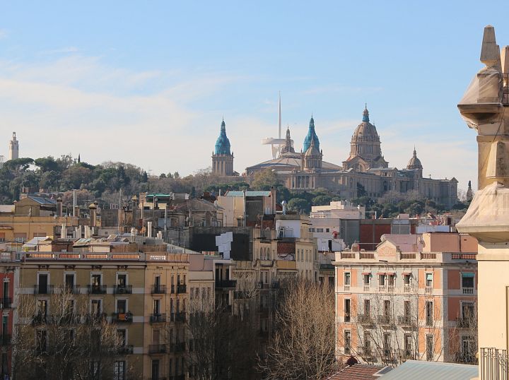 Sant Antoni, ambient local i vida urbana